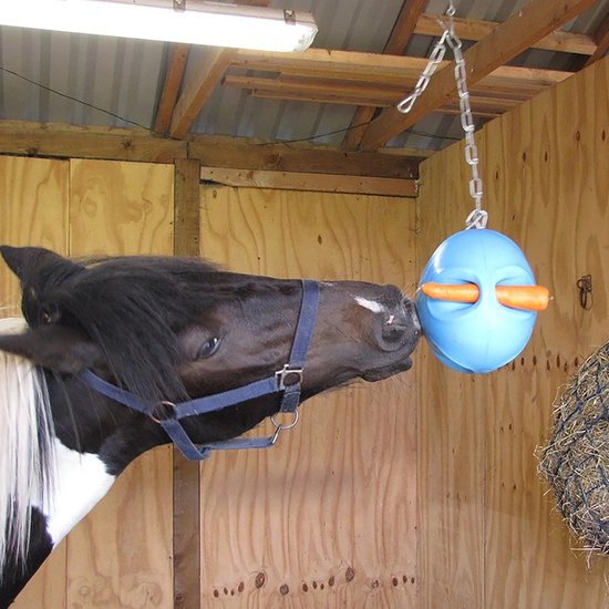 Carrot Ball Horse Toy (Blue)