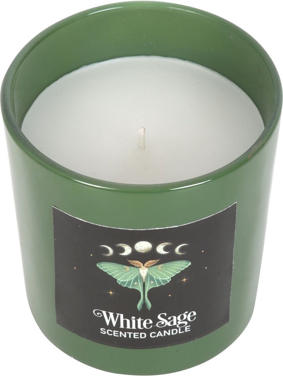Something Different - Luna Moth White Sage Geurkaars - Multicolours