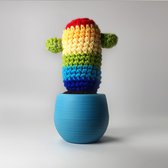 Mustard Cactus Rainbow