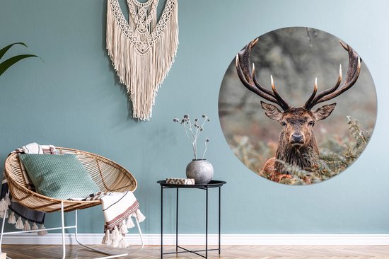Een woonkamer met een muurcirkel van een hert met geweien, een rotan stoel en een macramé wanddecoratie.