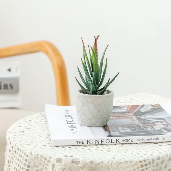 Alagirls Set van 4 kunstmatige vetplanten, decoratieve en realistische mini- kunstplanten in potten, voor thuis, tafelblad kantoor, keuken, buitendecoratie, roze