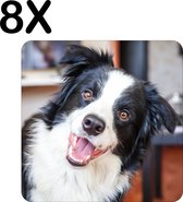 BWK Flexibele Placemat - Vrolijke Bordecollie - Hond - Set van 8 Placemats - 50x50 cm - PVC Doek - Afneembaar