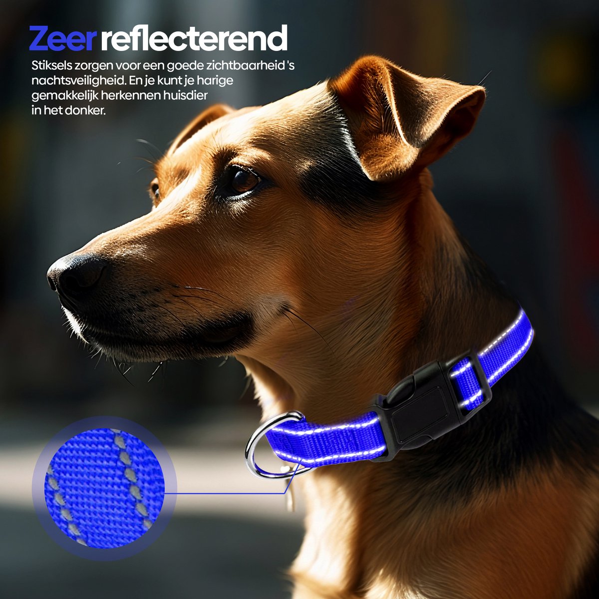 Bol.com Reflecterende Hondenhalsband - Reflecterend - DonkerBlauw - Maat M - 35/50 CM aanbieding