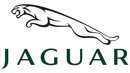 Jaguar Tangle Teezer Kammen