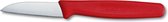 Victorinox Swiss Classic Paring Knife Straight Edge 6 cm Red