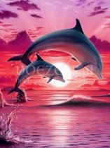 Diamond Painting Twee springende dolfijnen bij roze lucht 25x30cm. (Volledige bedekking - Vierkante steentjes) diamondpainting inclusief tools