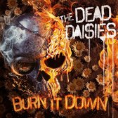 Burn It Down (LP) (Pictured Disc)