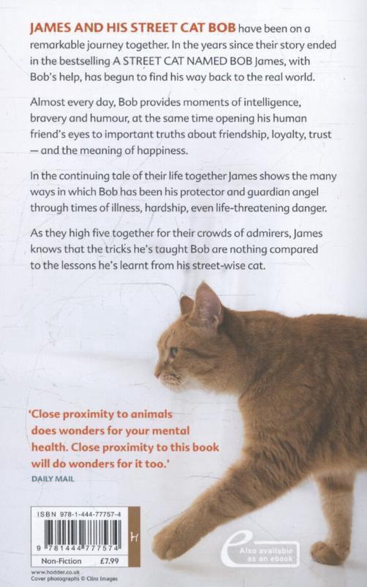 Een oranje kat van achteren gezien, met zijn staart licht omhoog. Er staat tekst over het boek 'James and his Street Cat Bob'.