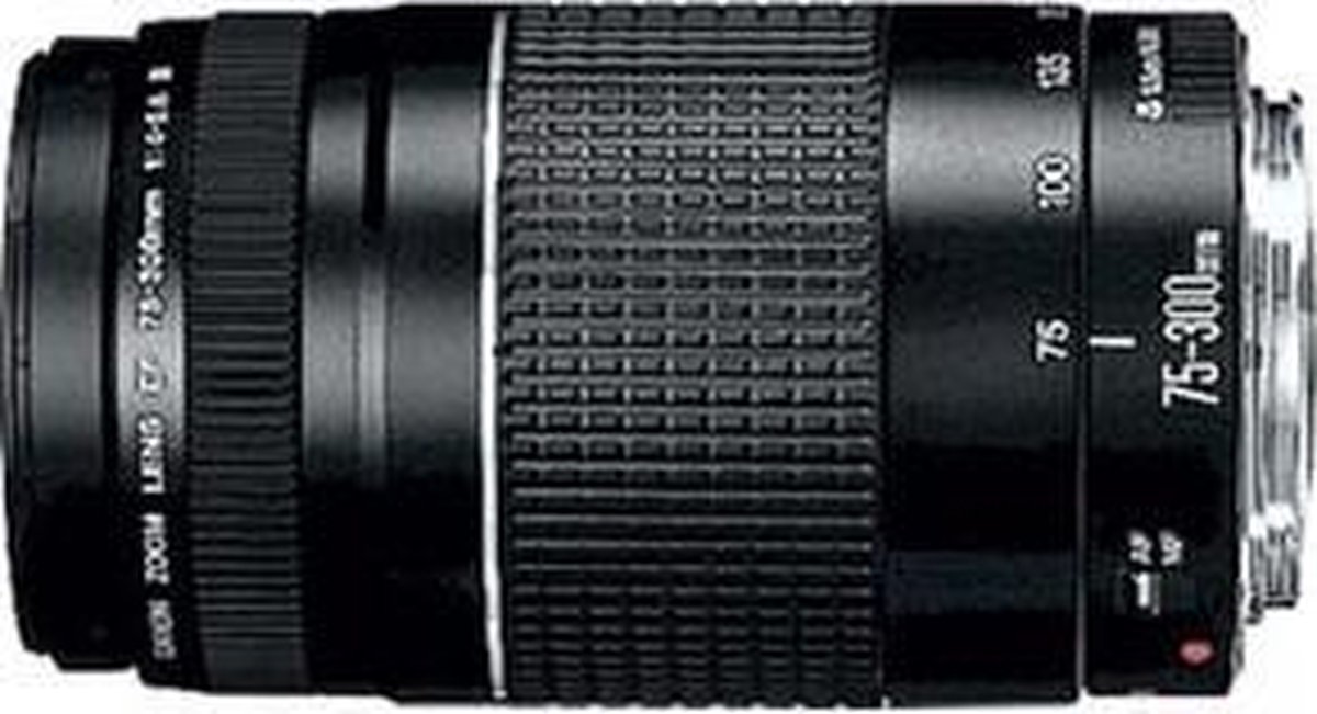 Canon Ef 75 300mm F 4 5 6 Iii Usm Bol Com