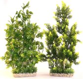 Sydeco aquaplant gigantische 50CM