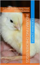 Incubating Chicken Eggs: A Guide to Hatching Your Own Chickens