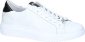 Witte Sneakers Steve Madden Alex