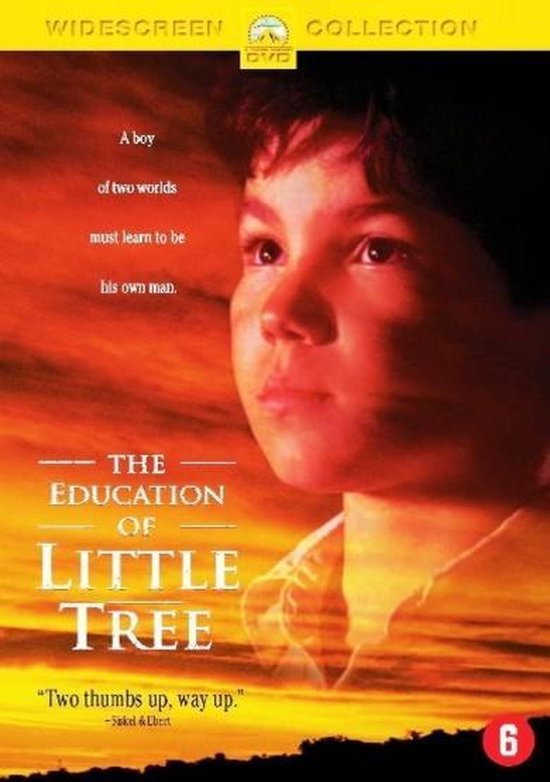 De poster toont een jongen, met de tekst 'The Education of Little Tree', 'A boy of two worlds must learn to be his own man.'