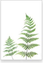 Textposters.com - Botanische varen poster groen - woonkamer - slaapkamer – muurdecoratie – 21x30 cm