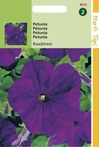 Hortitops - Petunia Hybride Bloemzaad - Raadsheer