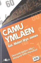 Cyfres ar Ben Ffordd: Camu Ymlaen - Lefel 1 Mynediad