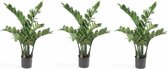 3x Kunstplant Zamioculcas 70 cm - Kamerplant kunstplanten/nepplanten