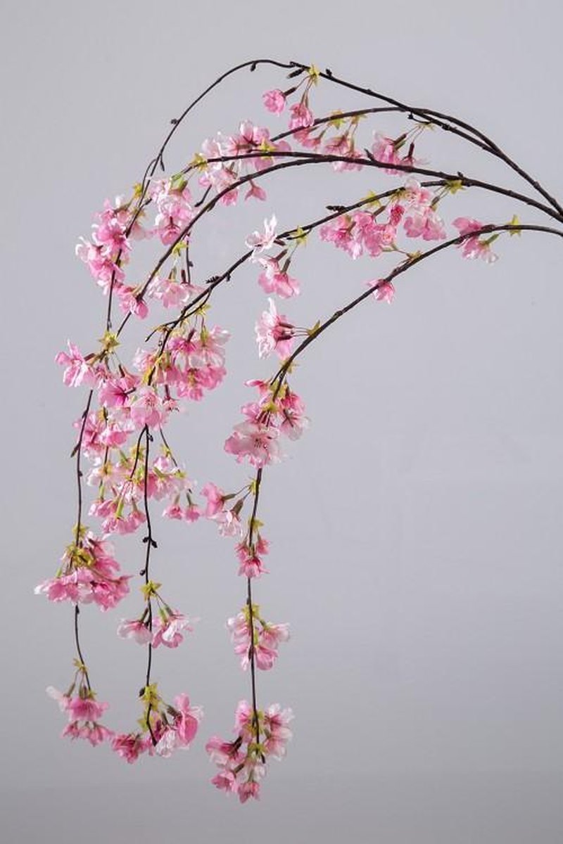Bengelen slijm barsten Cherry Blossom - Kersen bloesem tak - extra groot - roze - zijden bloem -  topkwaliteit... | bol.com