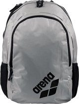 Arena Spiky 2 Backpack silver