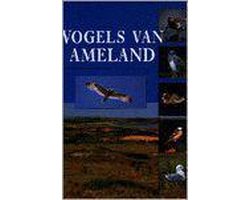 Vogels Van Ameland