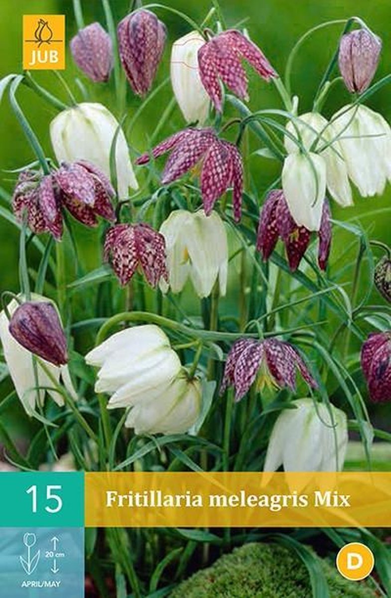 Fritillaria meleagris mix - kievitseitjes - set van 15 stuks