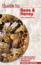 Guide to Bees & Honey