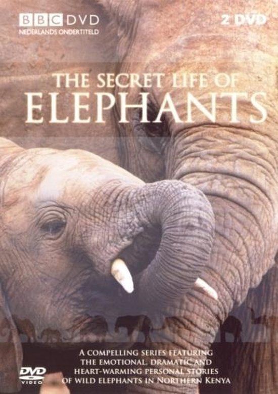 Secret Life Of Elephants (Dvd) Dvd's bol