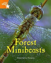Fantastic Forest Orange Level Non-Fiction: Forest Minibeasts