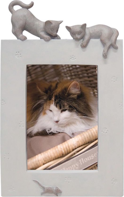 Fotolijst kat staand beige 16,5 x 27 cm | bol.com