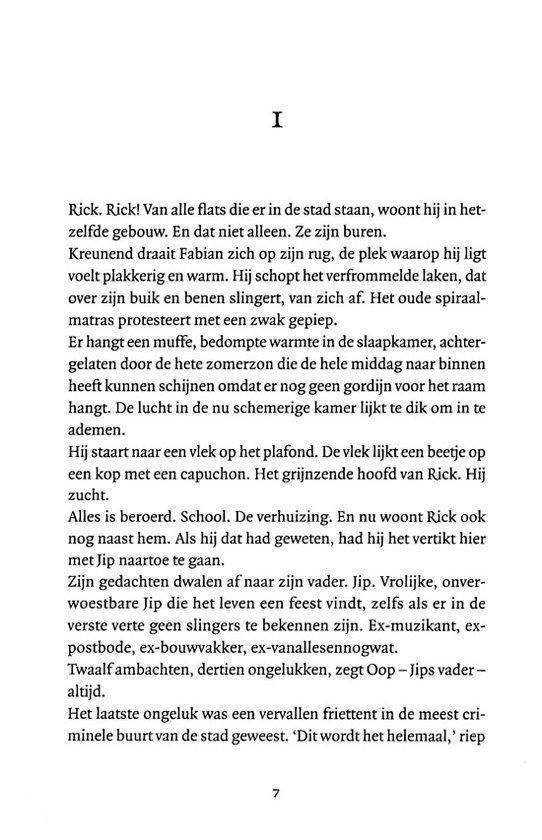 Een pagina uit een boek met Nederlandse tekst.