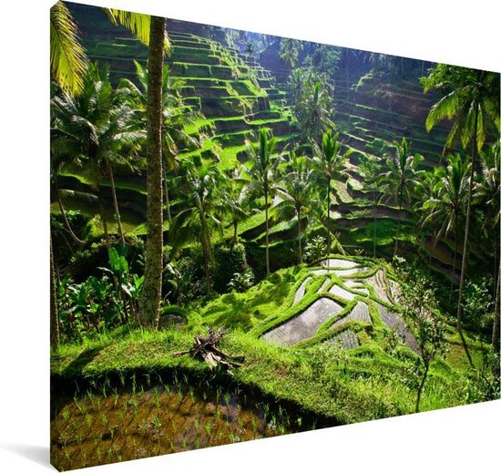Canvas Schilderij Spectaculaire rijstvelden ten noorden van Ubud - 90x60 cm - Wanddecoratie - OneMillionCanvasses
