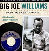 Baby Please Don't Go: The Essential Big Joe Williams