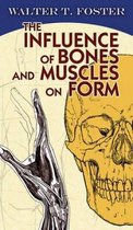 The Influence of Bones and Muscles on Form