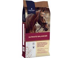 Ultimate Balancer 20kg