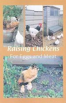 Raising Chickens for Eggs and Meat