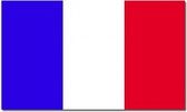 Vlag Frankrijk 90 x 150 cm feestartikelen - Frankrijk landen thema supporter/fan decoratie artikelen