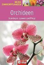 Orchideen - Grundlagen, Auswahl und Pflege