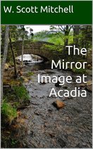 The Mirror Image at Acadia