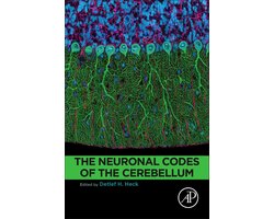 Neuronal Codes Of The Cerebellum