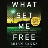 What Set Me Free (the Story That Inspired the Major Motion Picture Brian Banks)