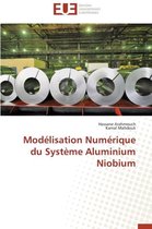 Omn.Univ.Europ.- Mod�lisation Num�rique Du Syst�me Aluminium Niobium