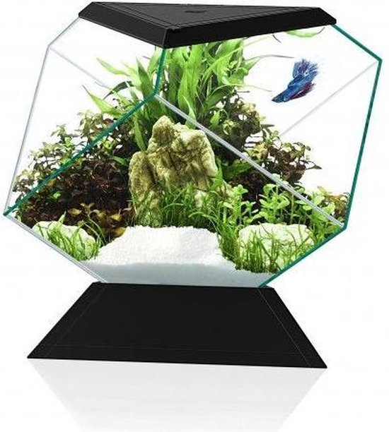 Ciano Aquarium Nexus Betta 5C - 27x31x26 cm - Zwart