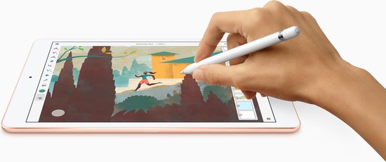 Apple iPad (2019) 32 GB Wifi + 4G Zilver