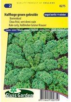 Sluis Garden - Boerenkool Halfhoge groen gekrulde