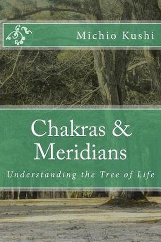 Chakras & Meridians - cover