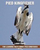 Fun Learning Facts about Pied Kingfisher