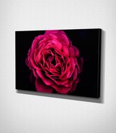 Pink Flower Canvas - 60 x 40 cm - Bloemen - Schilderij - Canvas - Slaapkamer - Wanddecoratie  - Slaapkamer - Foto op canvas