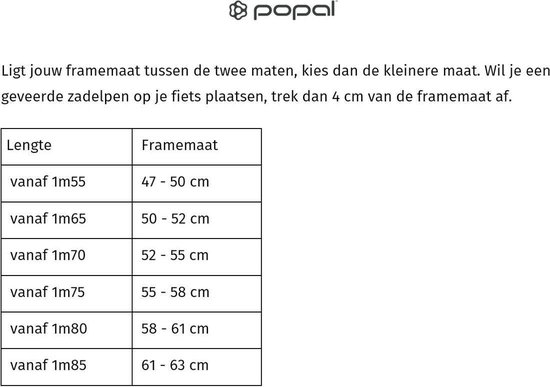 eerste wenkbrauw drinken Popal Daily Dutch Basic+ Herenfiets - Transportfiets - 57 cm - Grijs |  bol.com