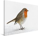 PDP.ProductImage.Thumb.Image.srtText 19