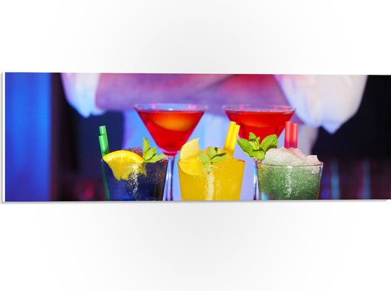 PVC Schuimplaat- Diverse Cocktails met Stukjes Fruit - 60x20 cm Foto op PVC Schuimplaat